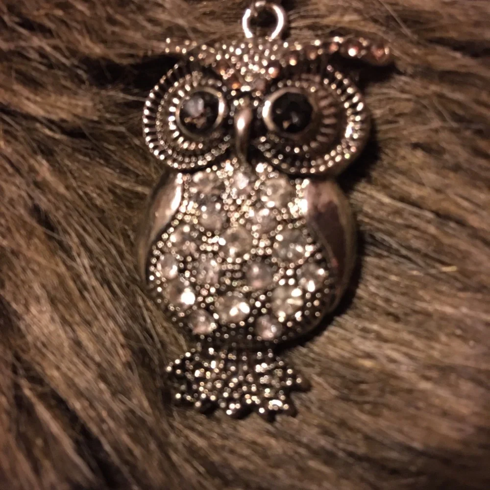 Vintage rhinestone owl pendant on silver chain